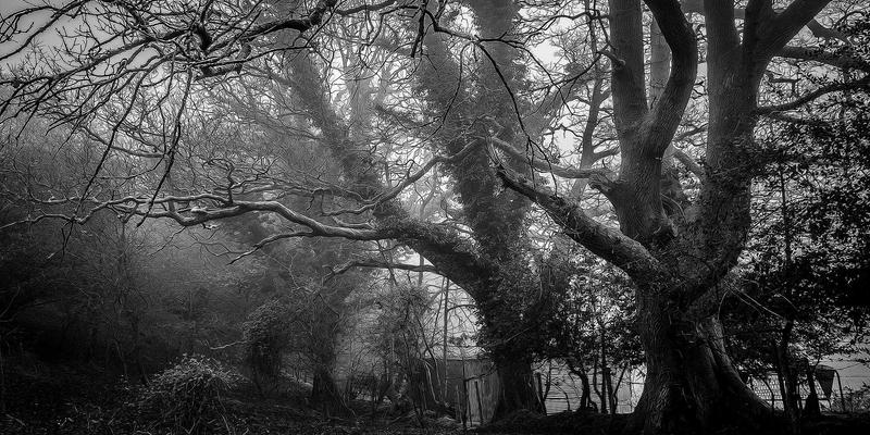 从《约会女孩日记》到专业关系指导:现代情感咨询的77个启示