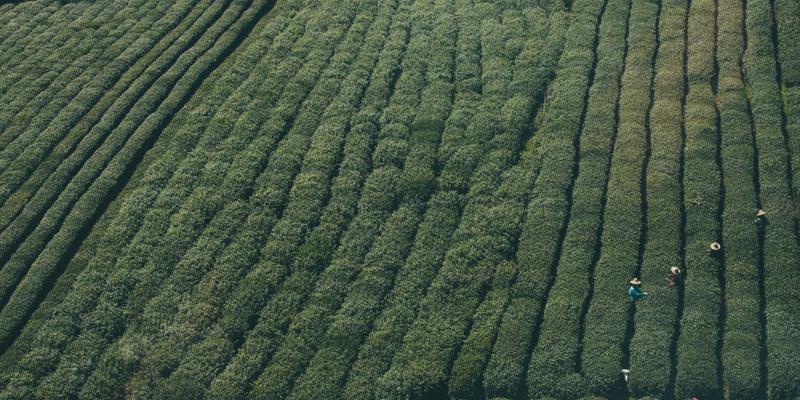 从《约会女孩日记》到恋爱技巧：一份现代关系指导手册