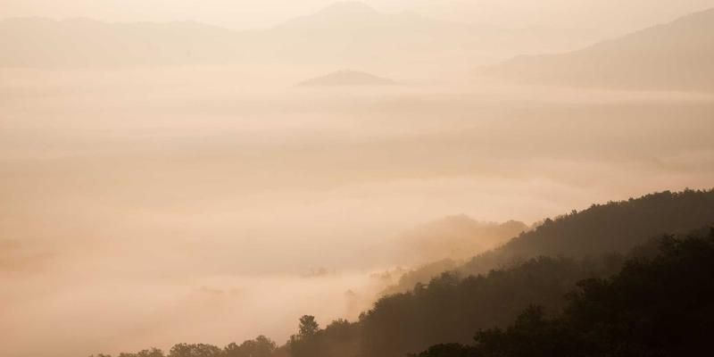 从《约会女孩日记》到情感咨询：深度解析‘恐婚’心理与婚前辅导策略