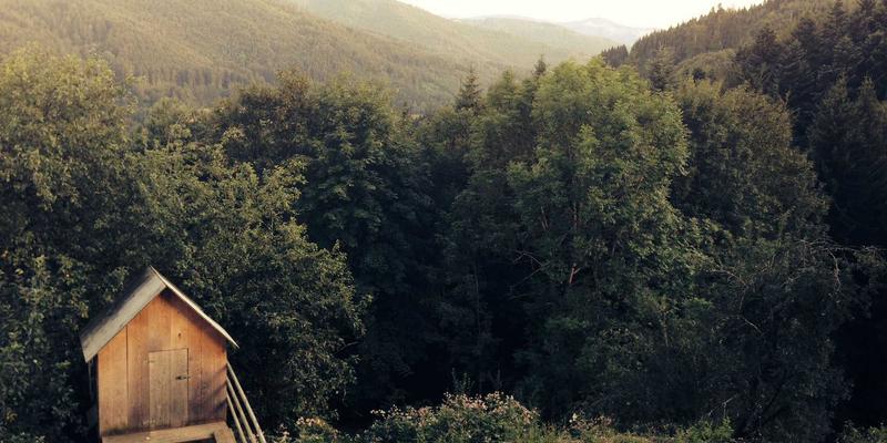 从约会技巧到家庭经营：再婚家庭中资源与情感平衡的艺术