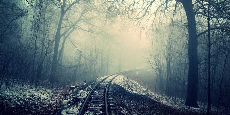 当非暴力沟通遇上赛博朋克：用情感咨询智慧重塑家庭日常对话