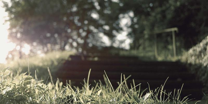 情感咨询93：从《约会女孩日记》到专业关系指导，现代约会建议全解析