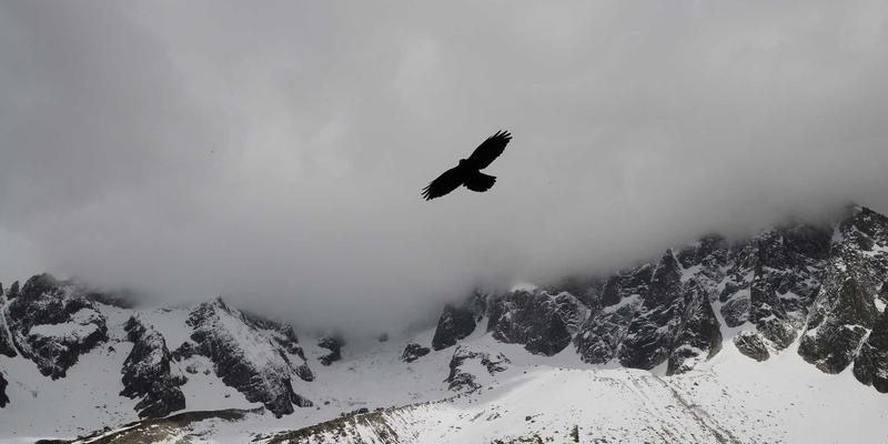 情感咨询师揭秘：长期伴侣如何运用恋爱技巧重燃性亲密激情