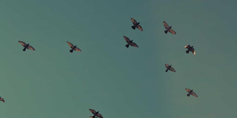 情感咨询是什么？当恋爱技巧遇上赛博朋克时代的亲密关系