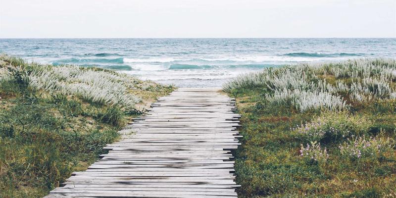 《约会女孩日记》与赛博朋克启示：未来都市中的情感算法与恋爱技巧重构