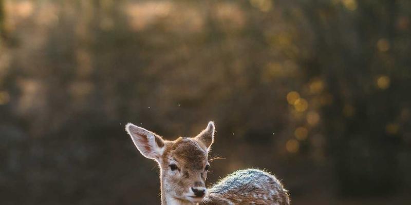 《约会女孩日记》启示录：3个让恋爱升温的实用技巧与建议
