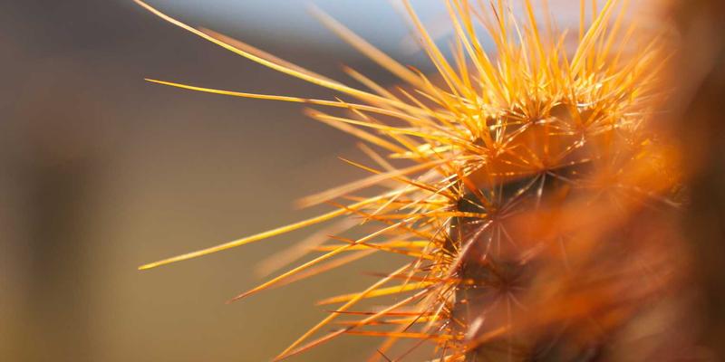 赛博朋克时代的爱情算法：婚前咨询如何优化你的关系代码与财务协议