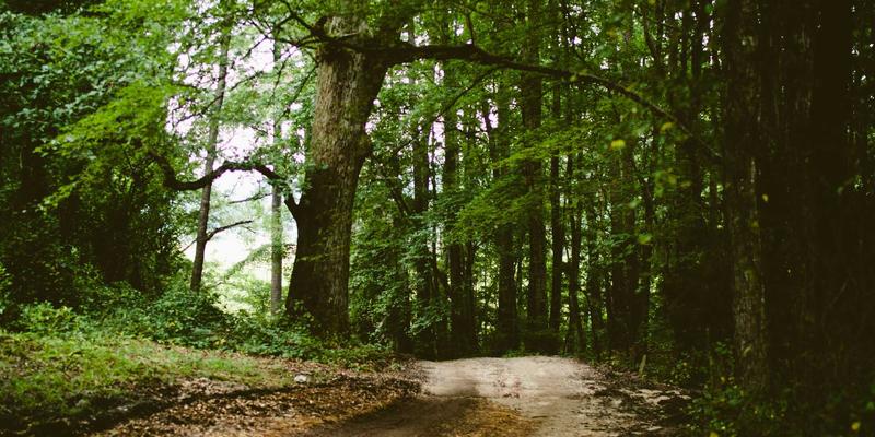 赛博朋克时代的约会建议：情感咨询如何修复信任危机，重建亲密关系